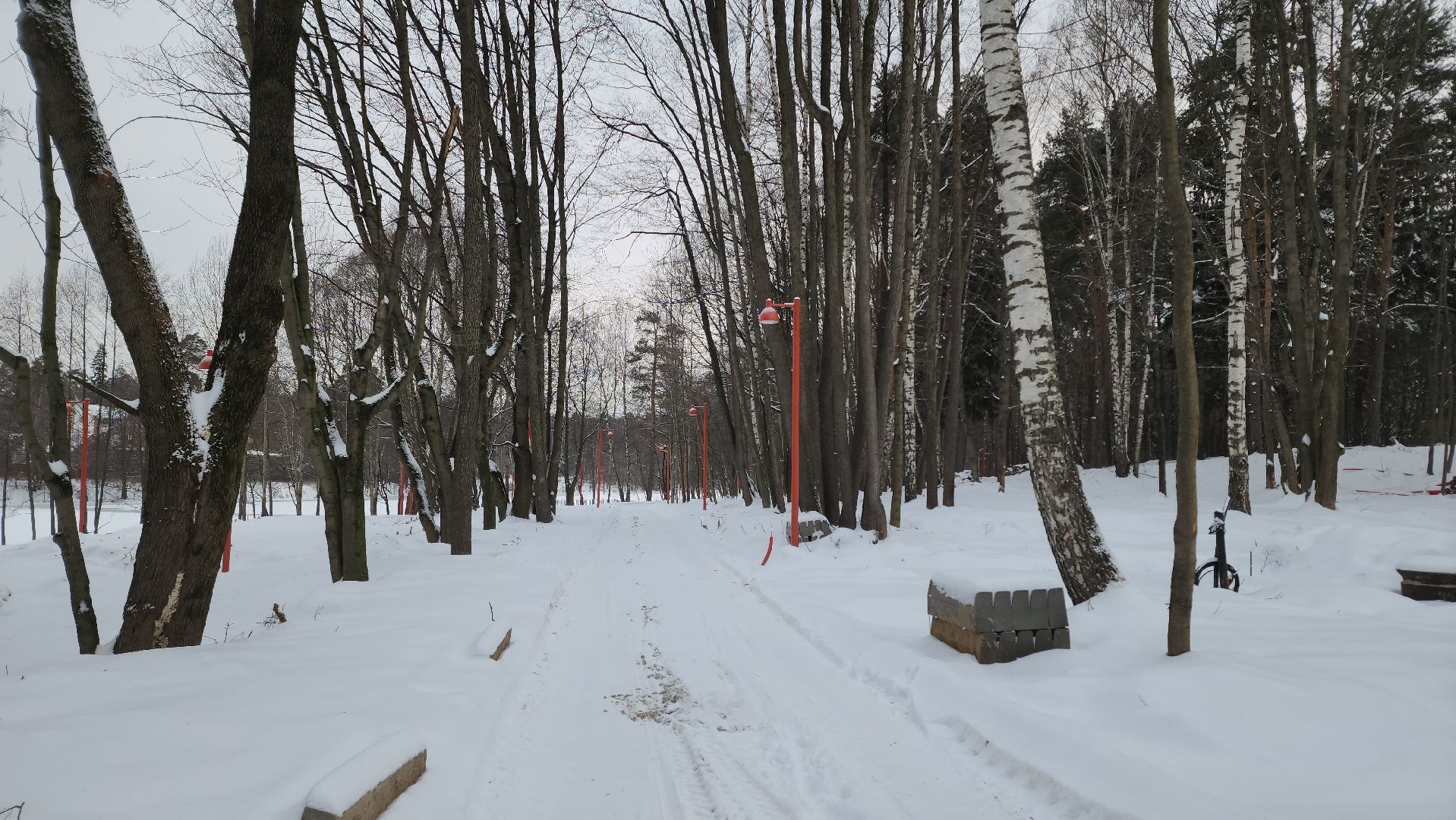 встреча администрации с жителями, лес, парк, лесопарк, кучино, кучинский лесопарк, строительство, благоустройство, благоустройство лесопарка, выездная администрация,