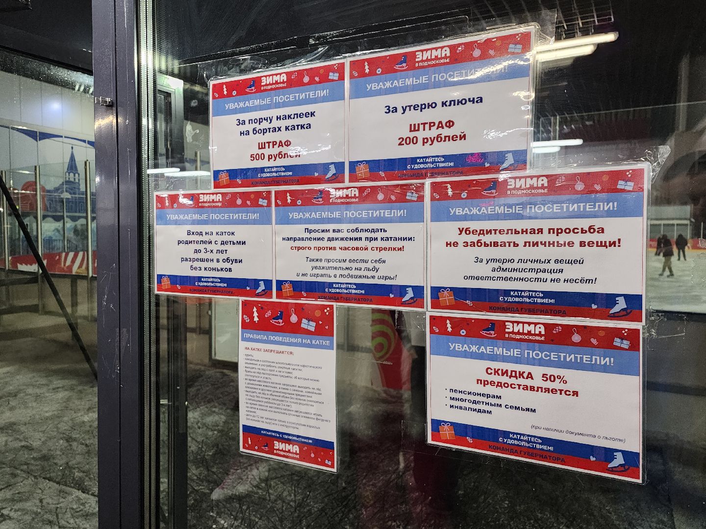 серпухов, подмосковье, каток в серпухове, зима в подмосковье, парк питомник, вертикалки,