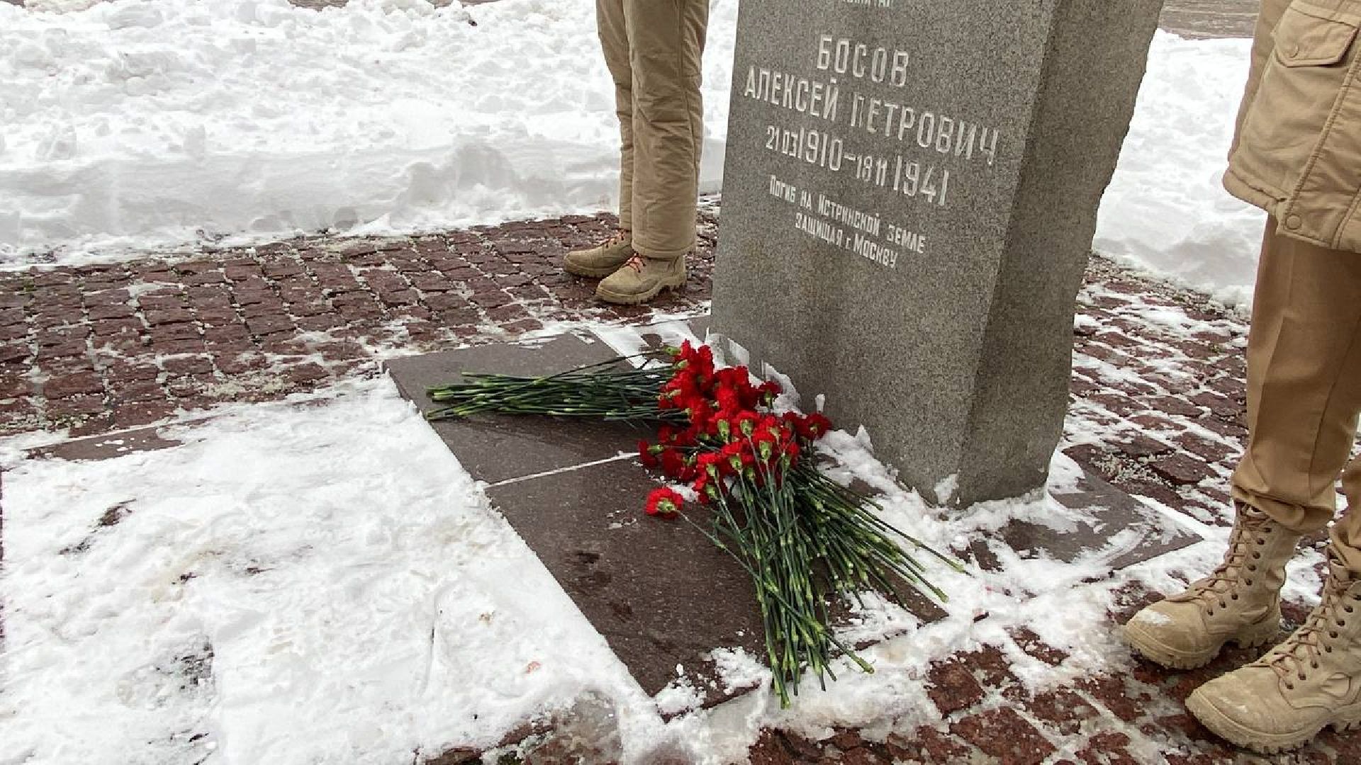 Памятное мероприятие, День освобождения, Сквер, Истра, вертикалки,