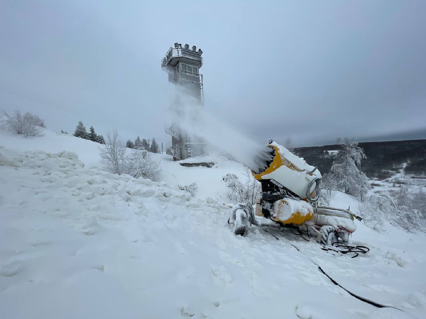 дмитров, туризм, минспорта,