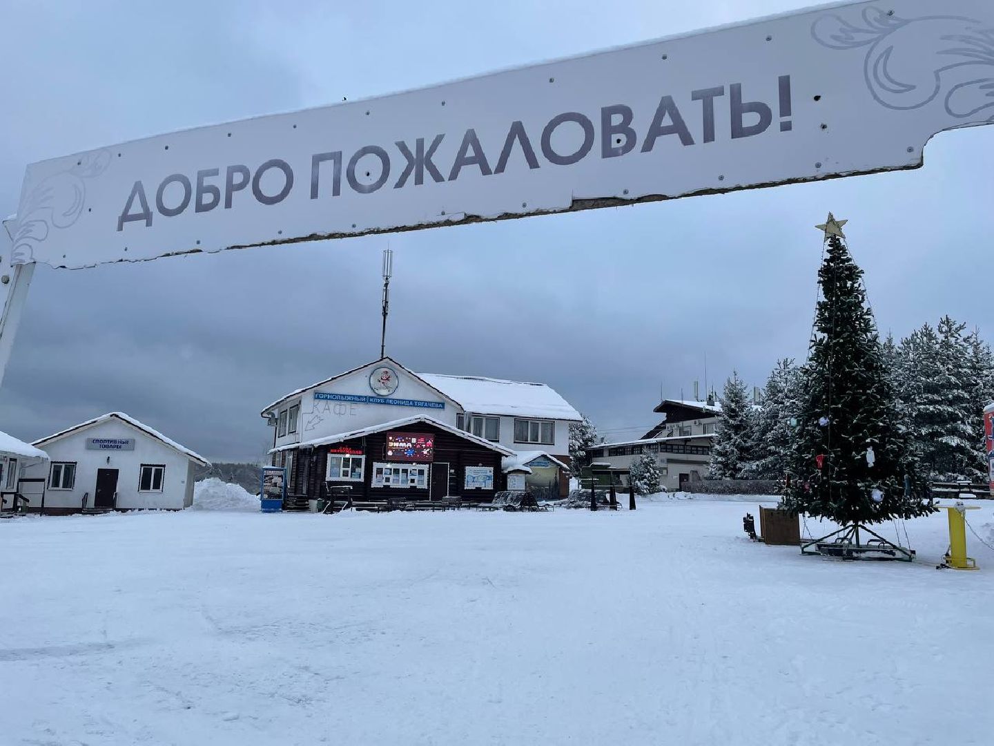 дмитров, туризм, минспорта,