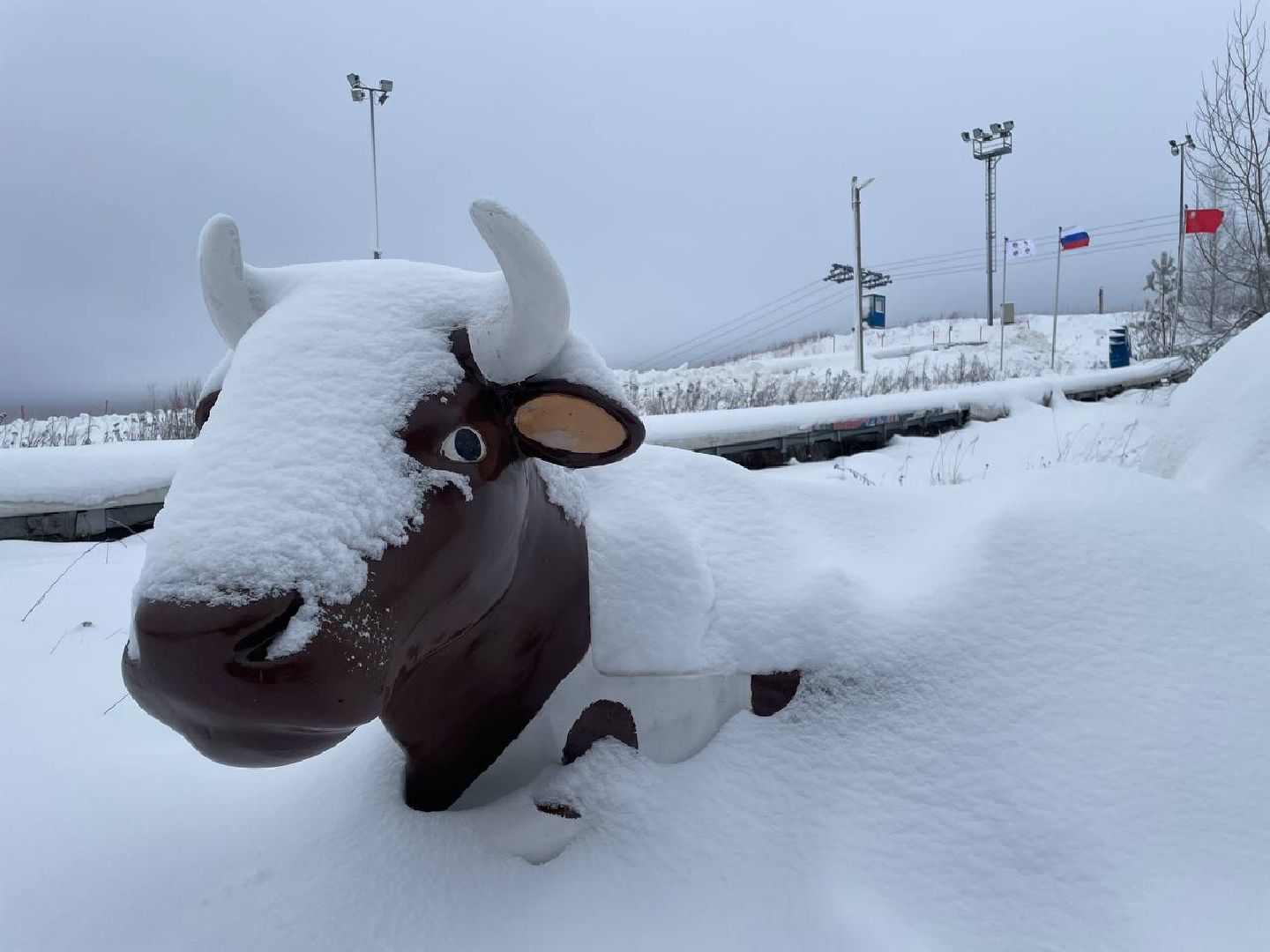 дмитров, туризм, минспорта,