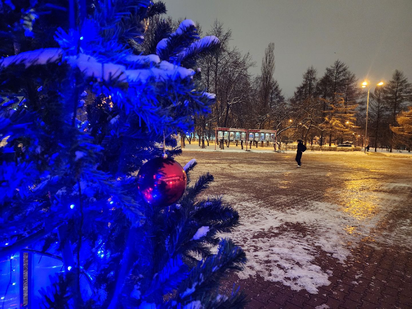 Чехов, новогодние елки, украшение города к новому году, проект губернатора московской области, зима в подмосковье, дворец культуры Дружба, вертикалки,