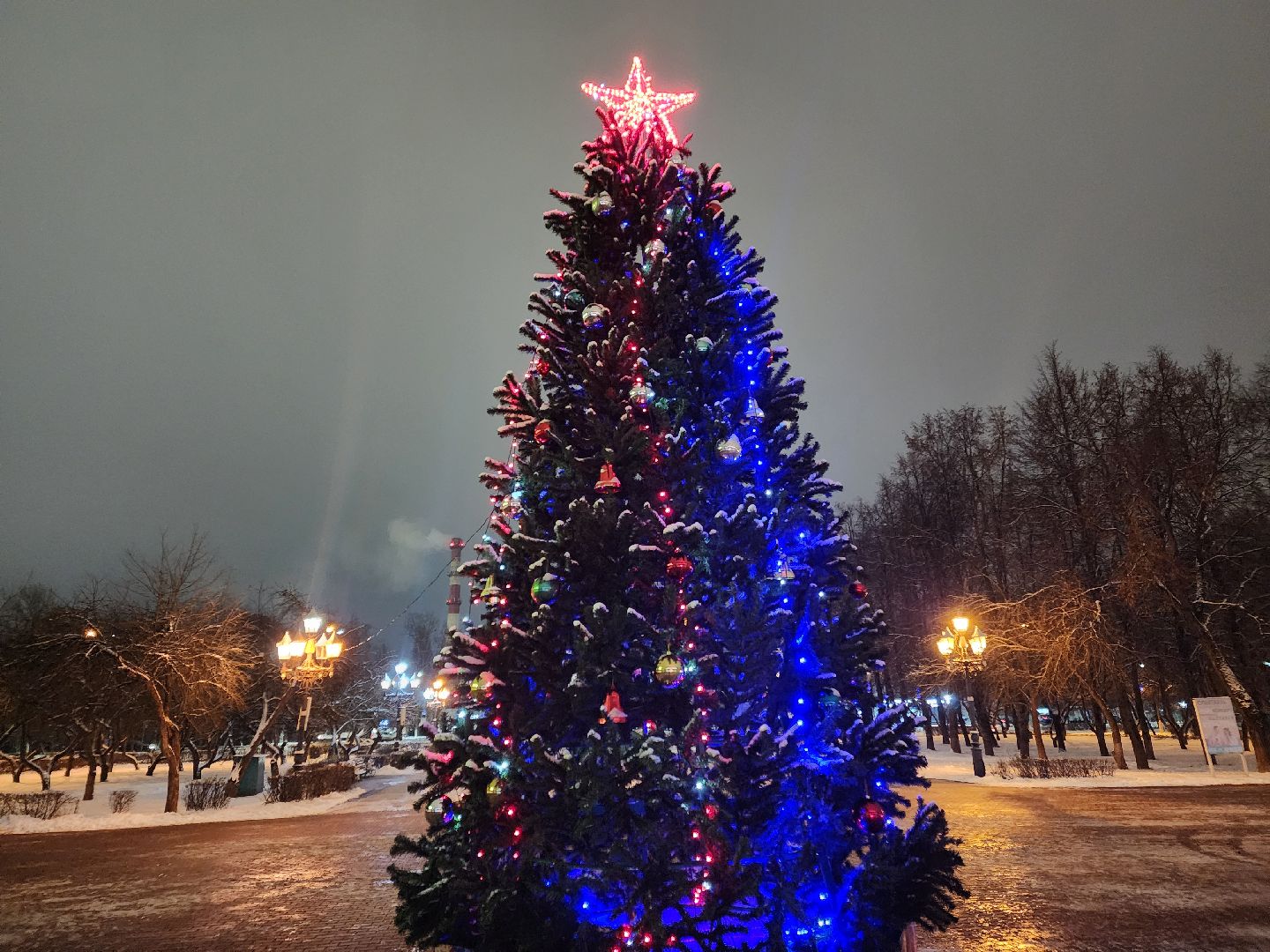 Чехов, новогодние елки, украшение города к новому году, проект губернатора московской области, зима в подмосковье, дворец культуры Дружба, вертикалки,