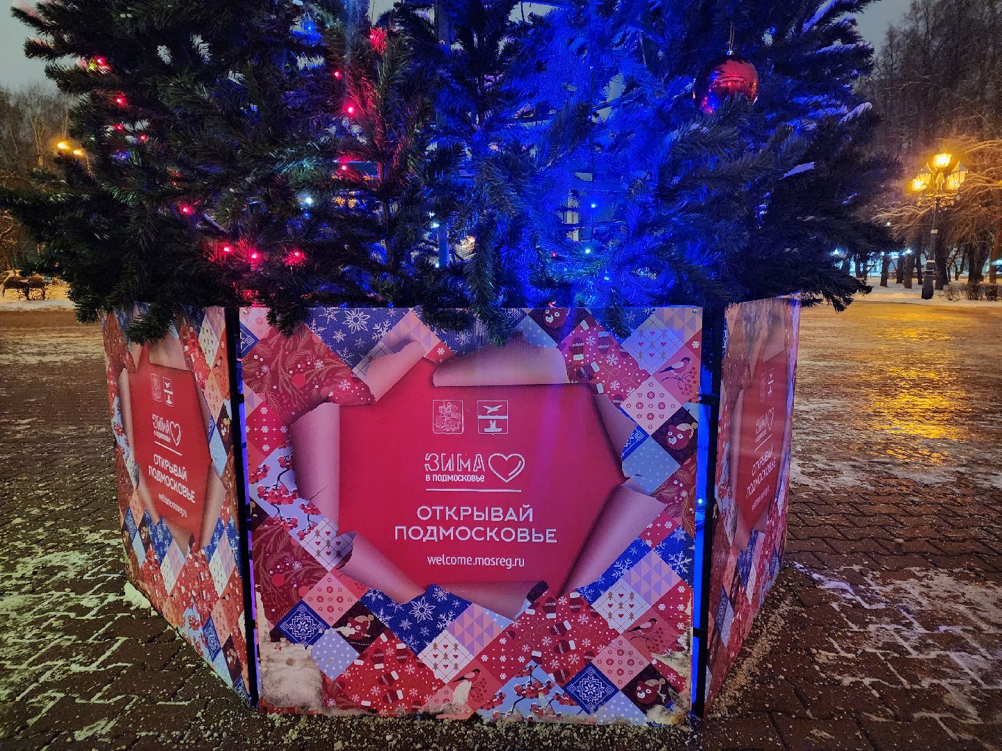 Чехов, новогодние елки, украшение города к новому году, проект губернатора московской области, зима в подмосковье, дворец культуры Дружба, вертикалки,