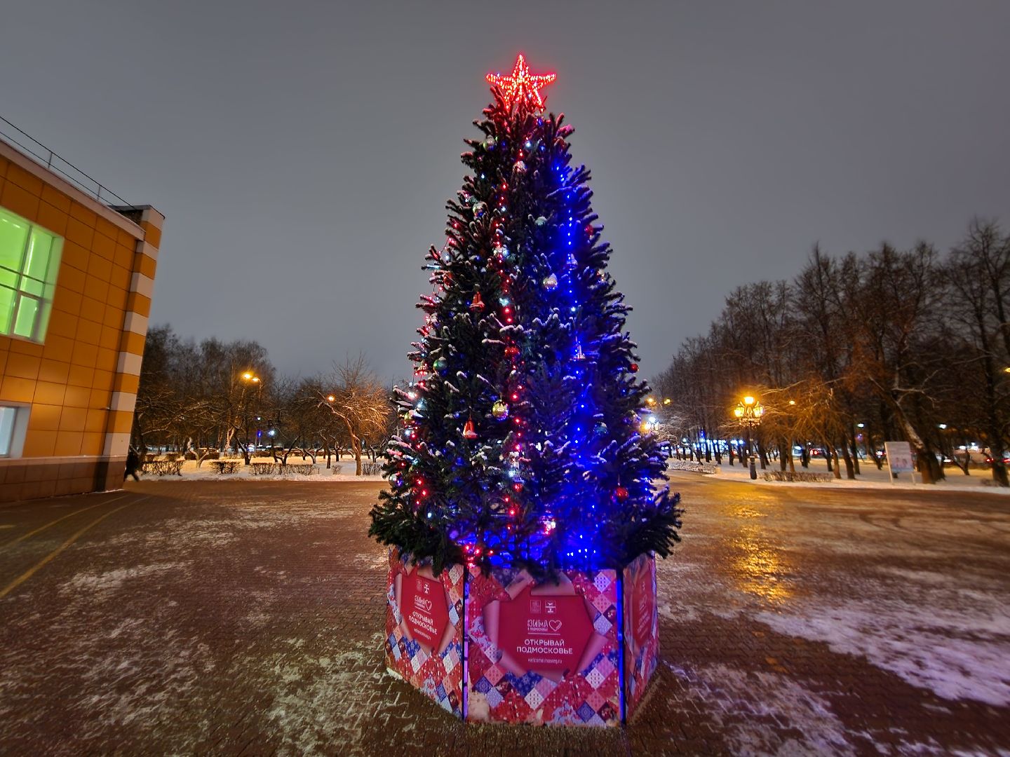 Чехов, новогодние елки, украшение города к новому году, проект губернатора московской области, зима в подмосковье, дворец культуры Дружба, вертикалки,