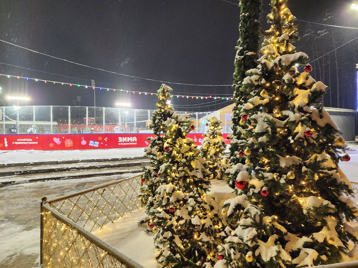 Одинцово, парк Малевича, каток, вертикалка, вертикальное видео,