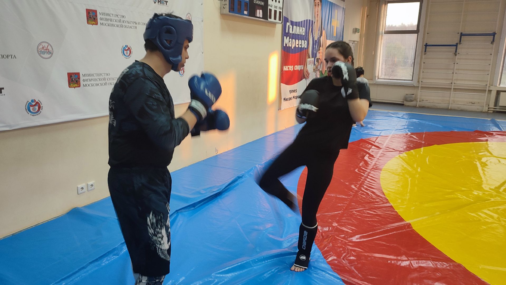 Кашира, MMA, спортклуб, смешанные единоборства