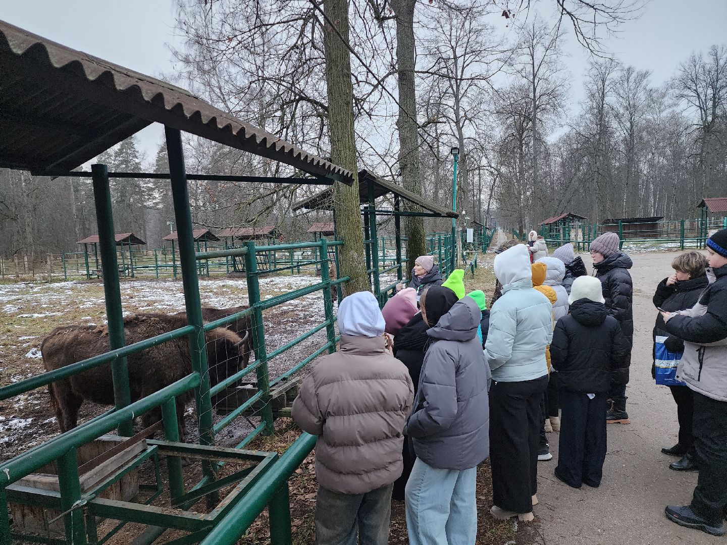 серпухов, подмосковье, приокско-террасный заповедник, зубры, туризм в подмосковье,