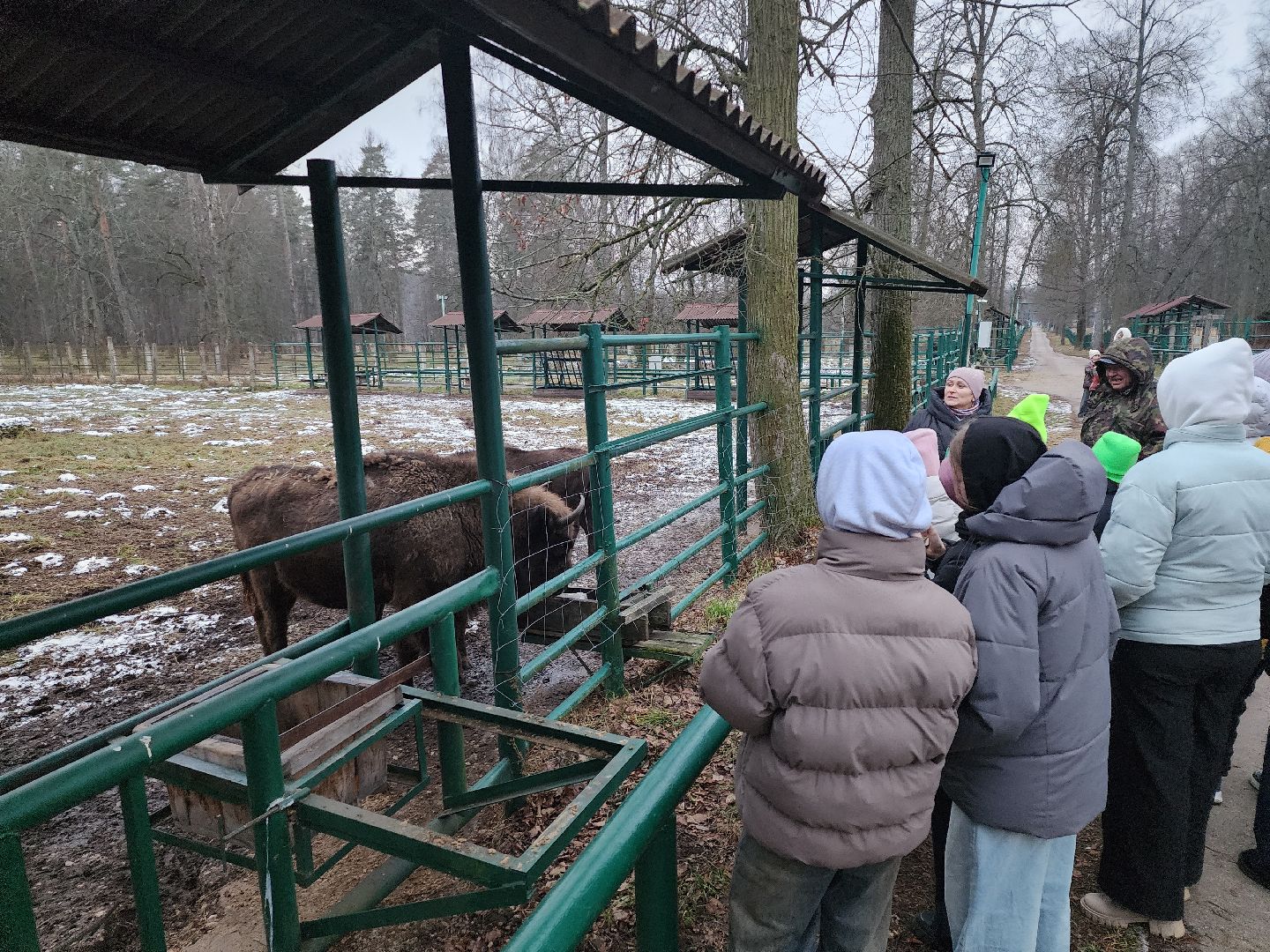 серпухов, подмосковье, приокско-террасный заповедник, зубры, туризм в подмосковье,