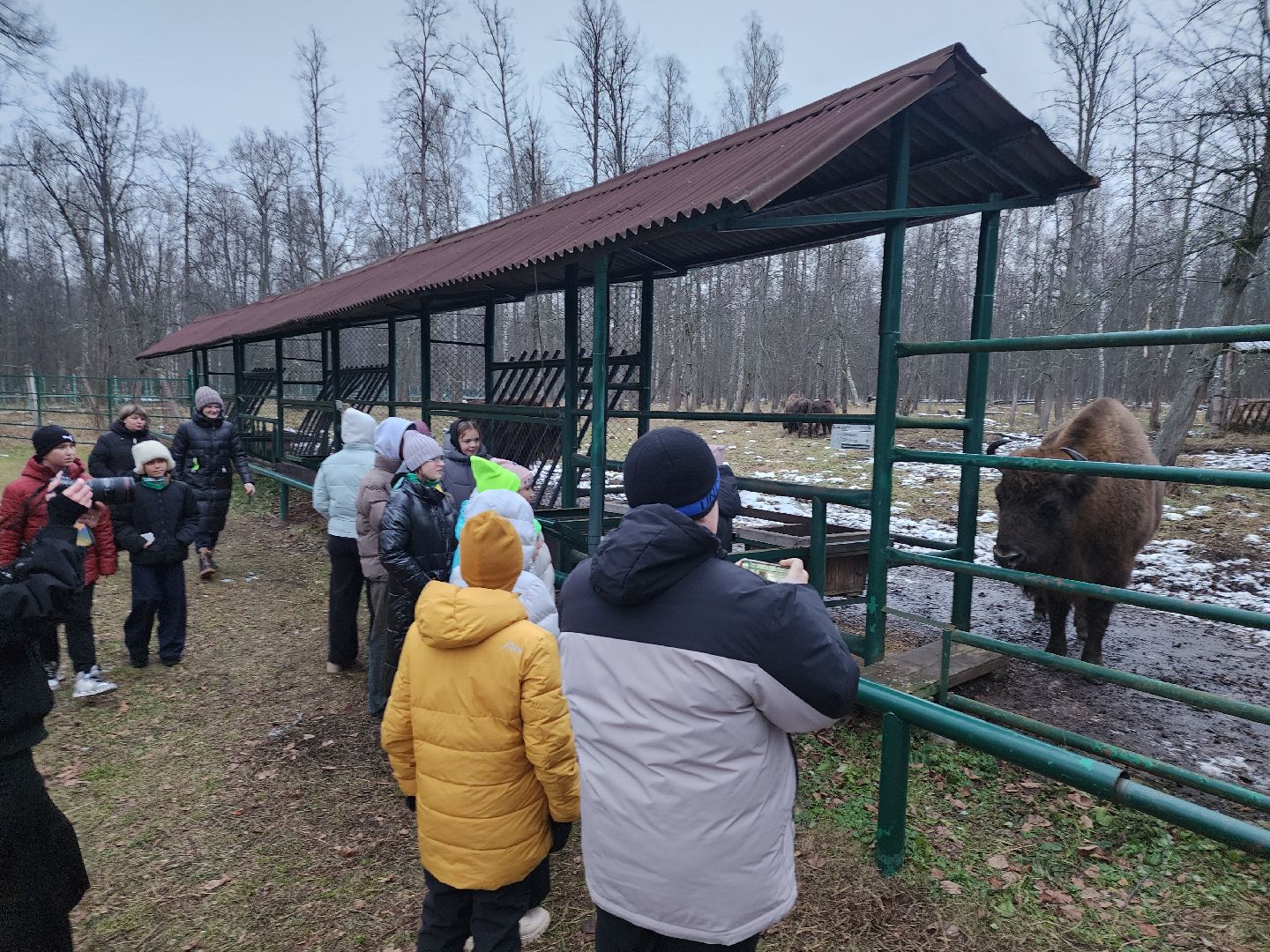 серпухов, подмосковье, приокско-террасный заповедник, зубры, туризм в подмосковье,