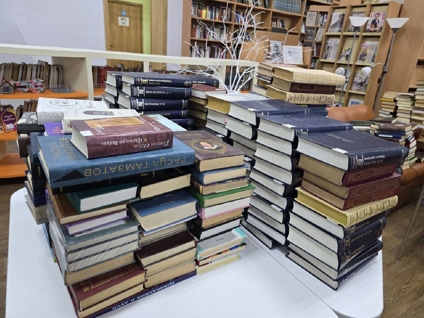 можайск, можайский городской округ, подмосковье, культурный код, библиотека, министерство культуры и туризма, зона комфортного пребывания, обновление библиотеки, роспись стен, студенты, можайская библиотека, вертикалки,