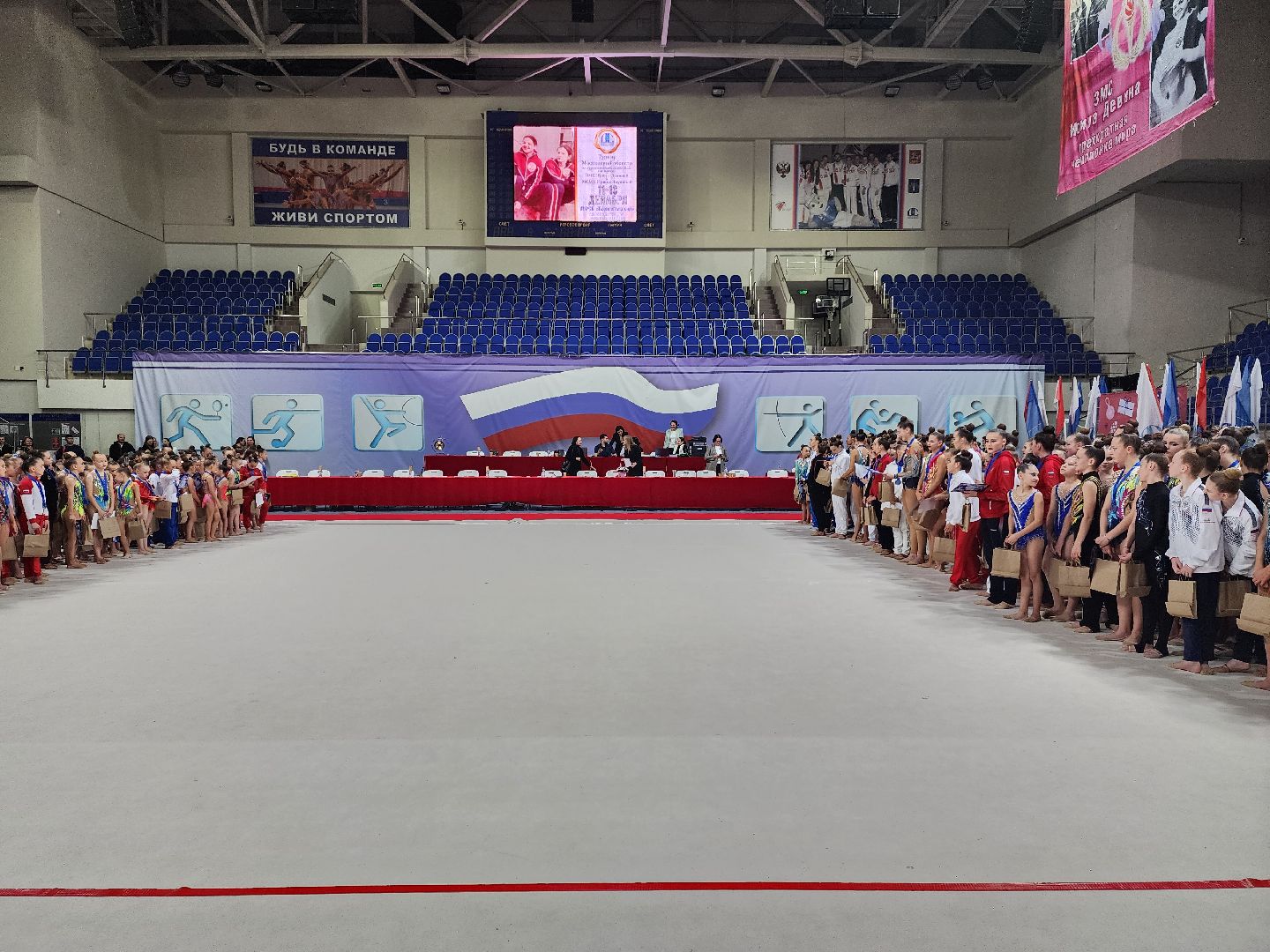 раменское, спорт, областной турнир по художественной гимнастике на призы двух Ирин, вертикалки,