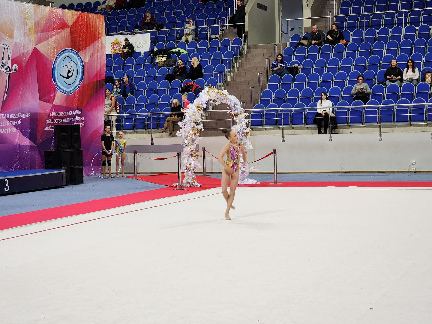 раменское, спорт, областной турнир по художественной гимнастике на призы двух Ирин, вертикалки,