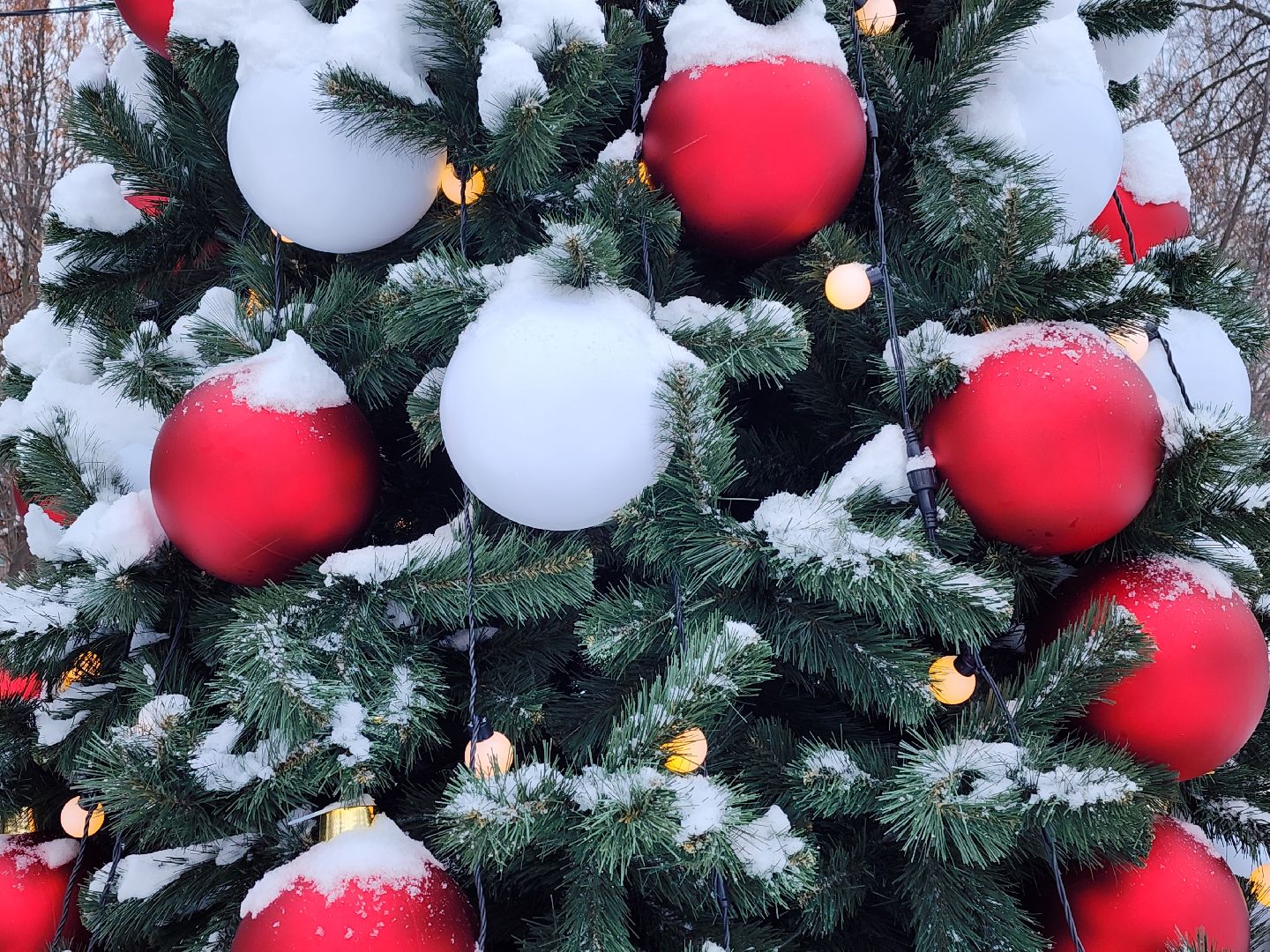 вертикалки, королёв,