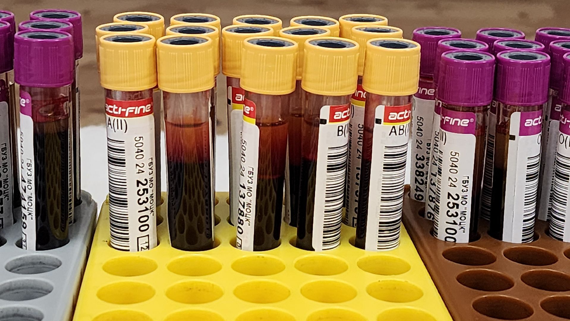 Солнечногорск, вертикалки, доноры, единый день донора, медицина,