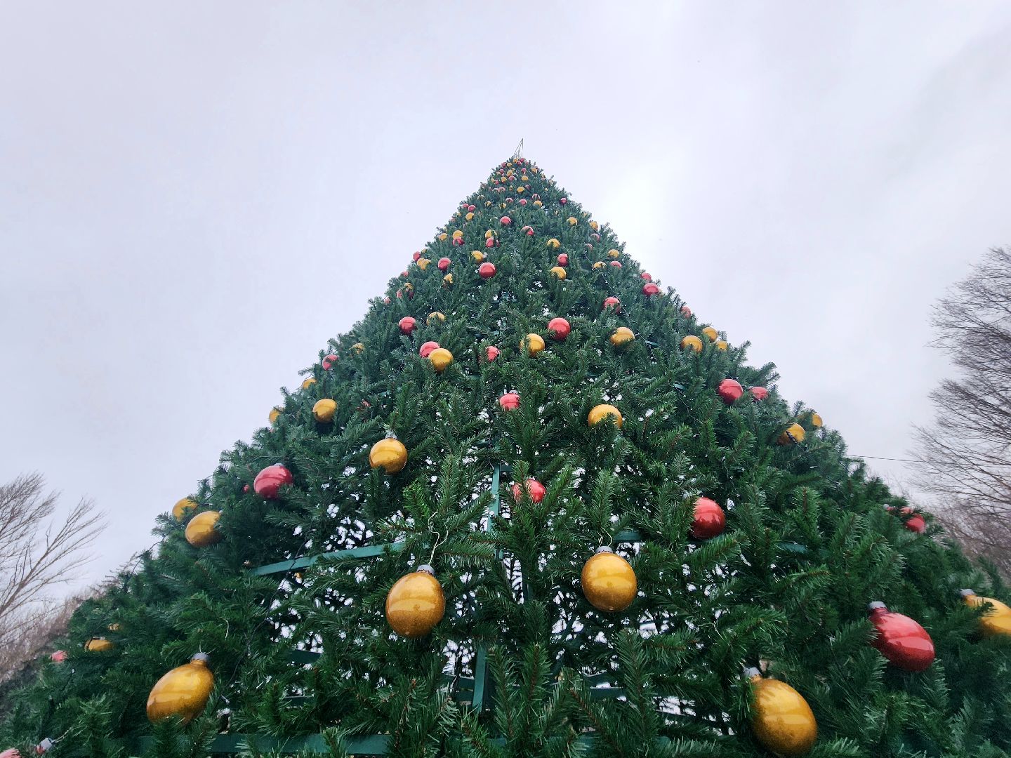 пущино, серпухов, новый год, вертикалки,