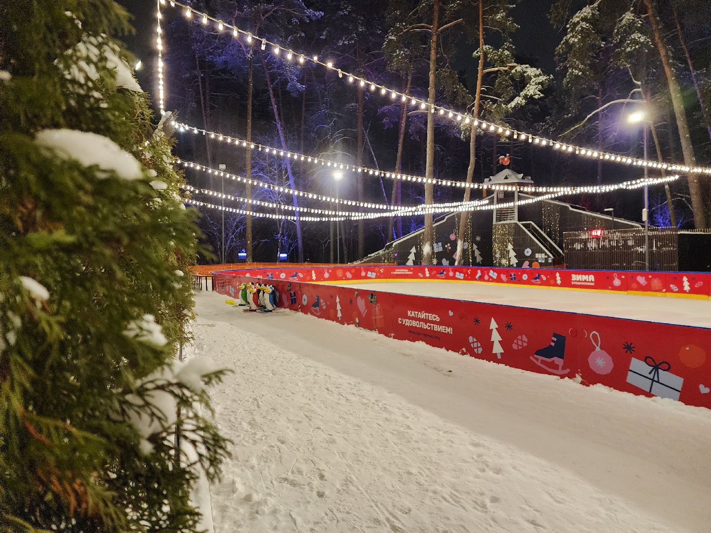 одинцово, парк раздолье, каток, искусственный лд, вертикалка, вертикальное видео,