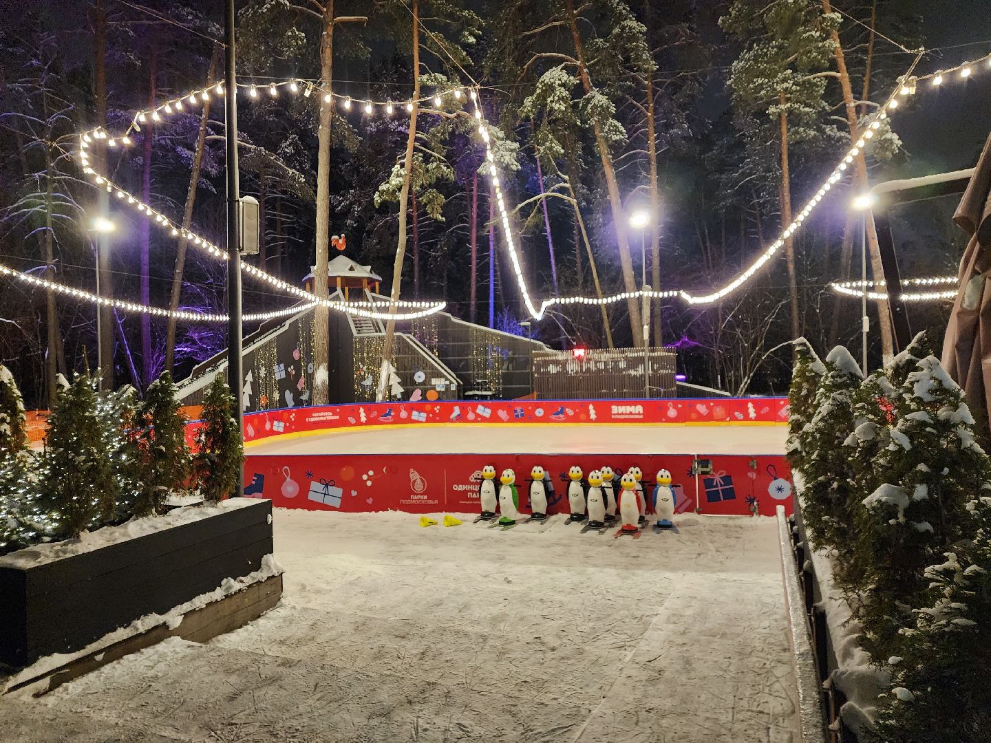 одинцово, парк раздолье, каток, искусственный лд, вертикалка, вертикальное видео,