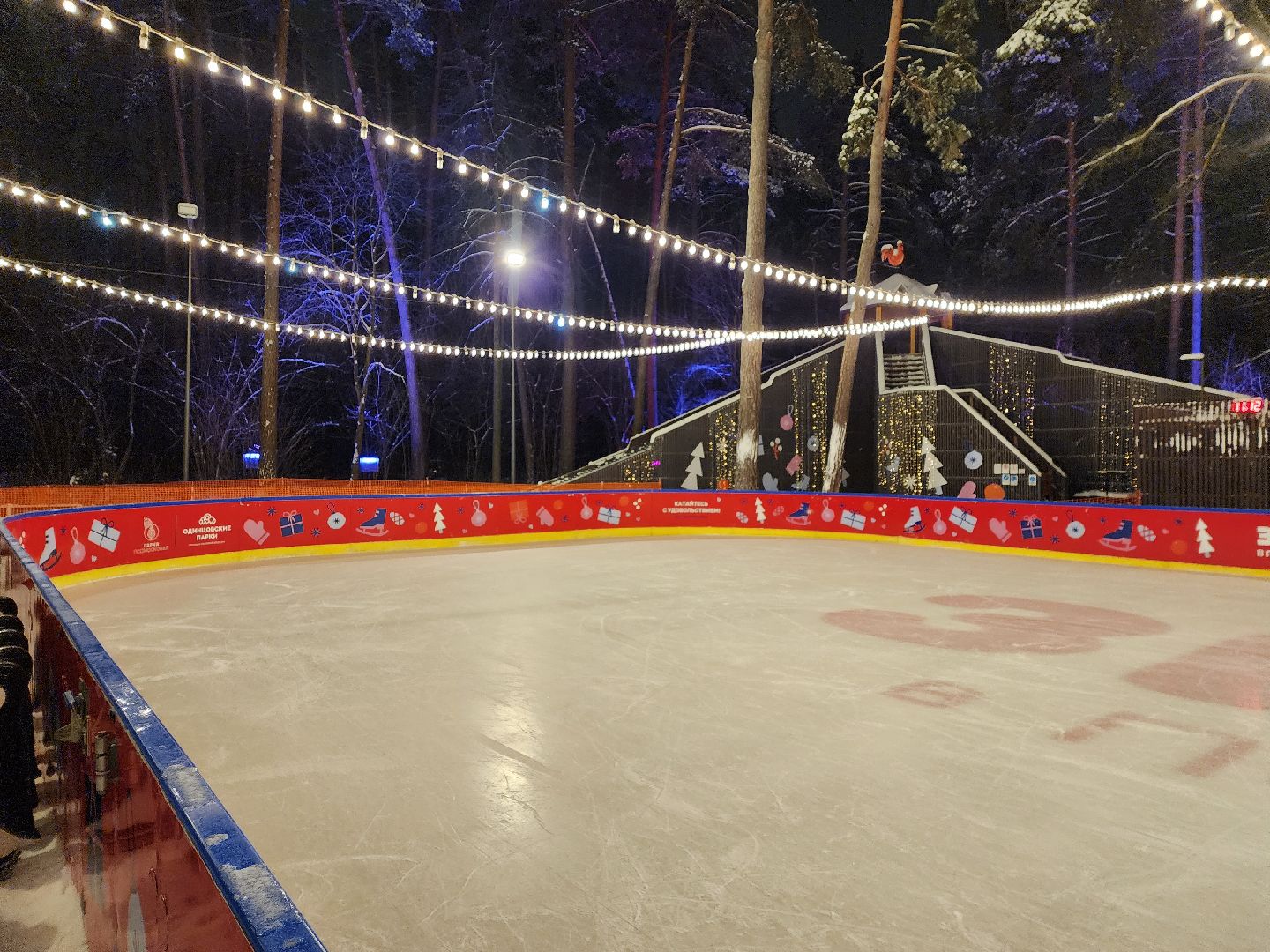 одинцово, парк раздолье, каток, искусственный лд, вертикалка, вертикальное видео,