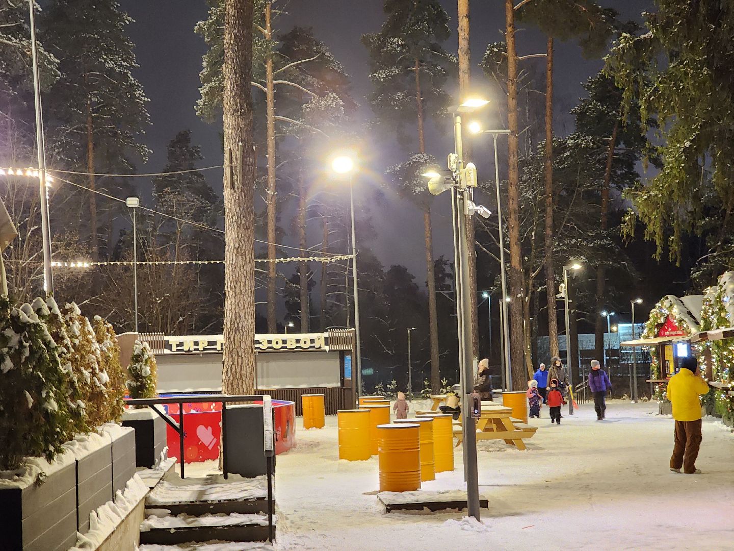 одинцово, парк раздолье, каток, искусственный лд, вертикалка, вертикальное видео,