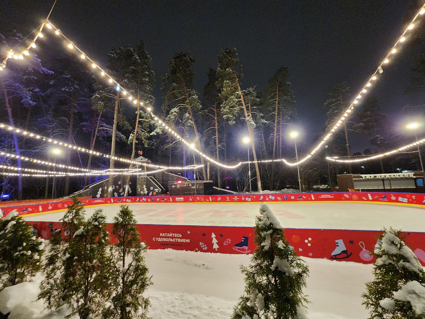 одинцово, парк раздолье, каток, искусственный лд, вертикалка, вертикальное видео,