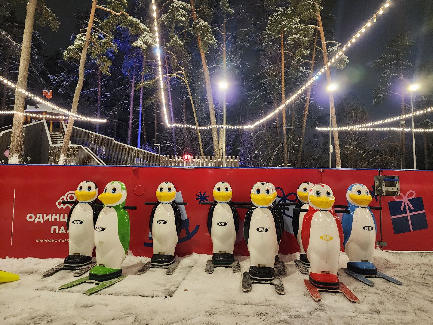 одинцово, парк раздолье, каток, искусственный лд, вертикалка, вертикальное видео,