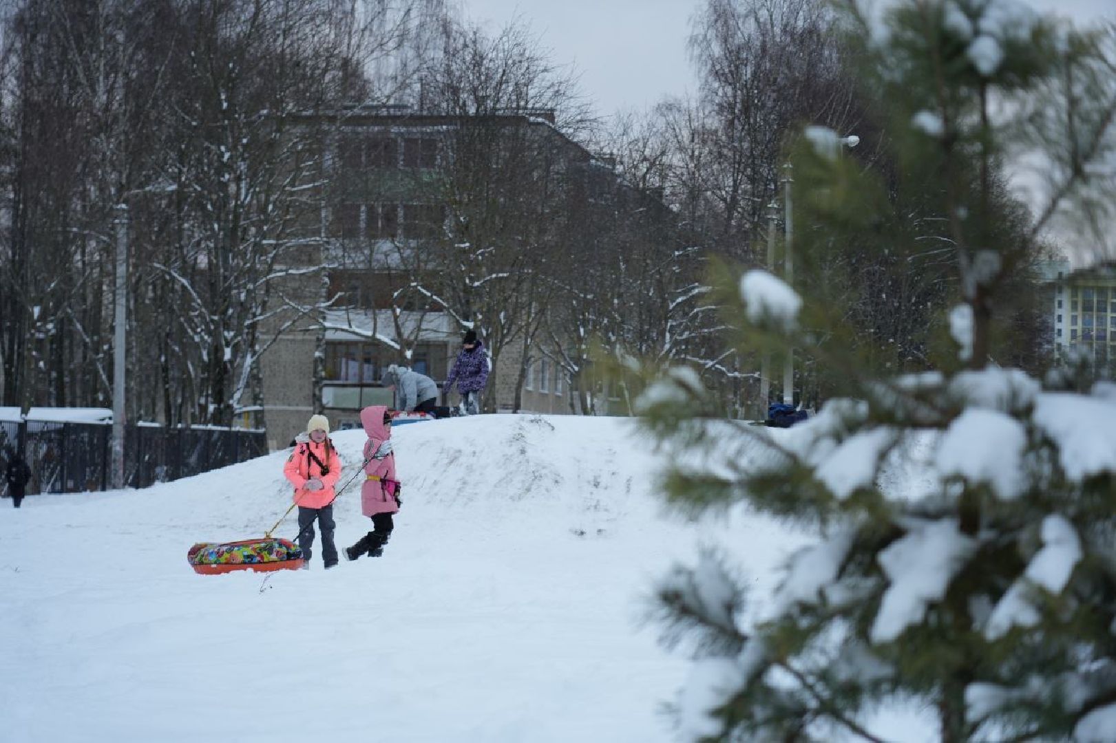 Выездная администрация, Пересвет, Сергиево-Посадский городской округ, Диалог с жителями, Благоустройство,