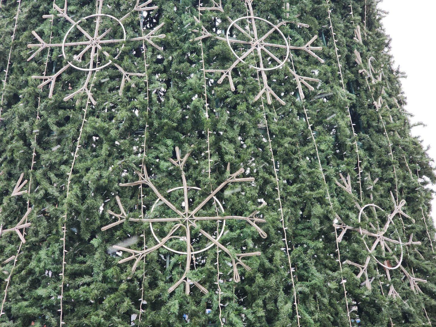 Подольск, новогодняя елка, украшение города к новому году, благоустройство, вертикалка,