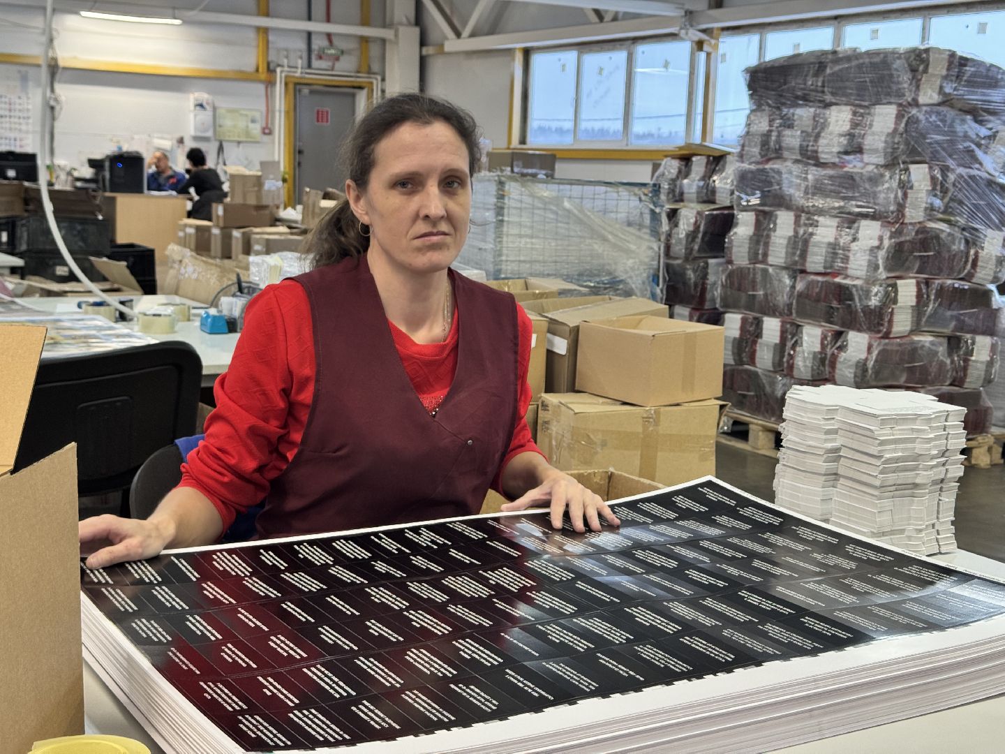 шаховская, игры, производство, новые игры, предприятие, вертикалки,