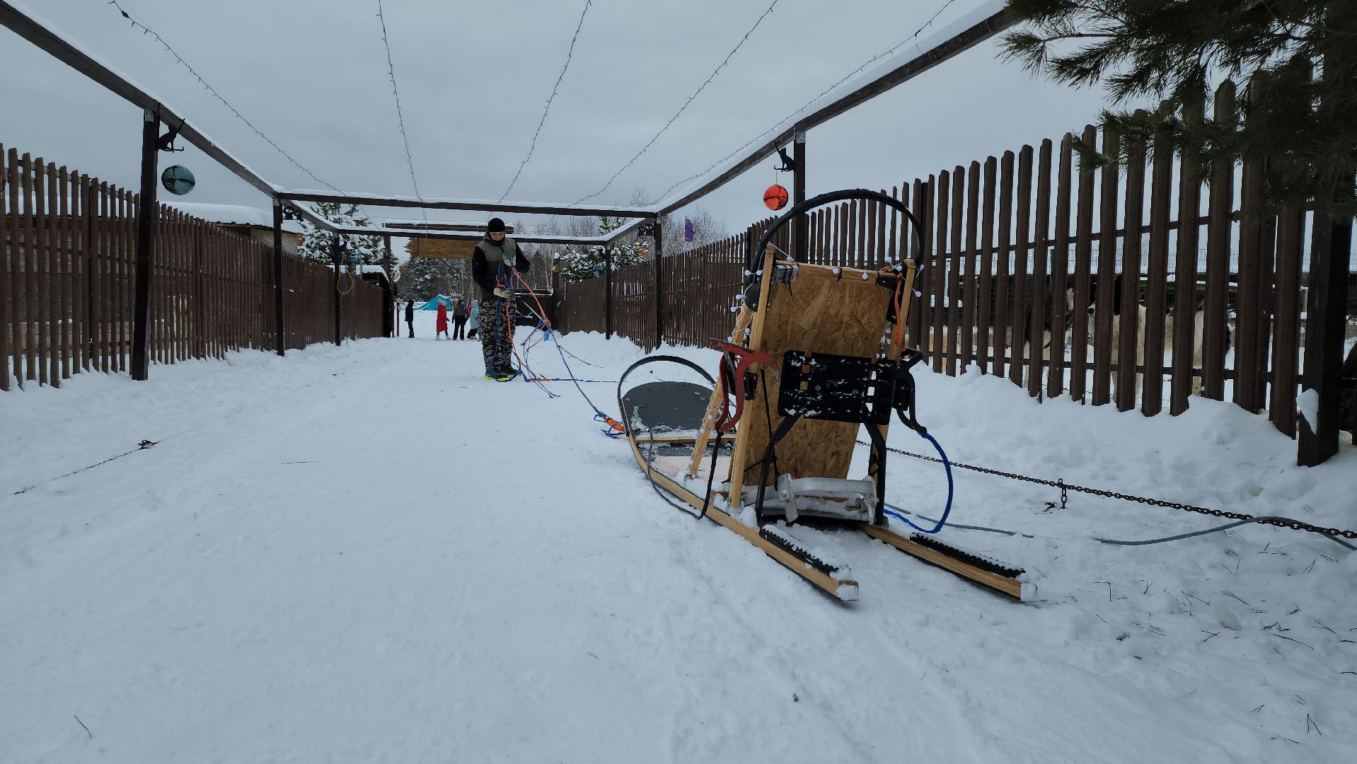 хаски-деревня, рузская аляска, зима в подмосковье, зима в рузе, руза, туризм в рузе, рузский городской округ, вертикалки,