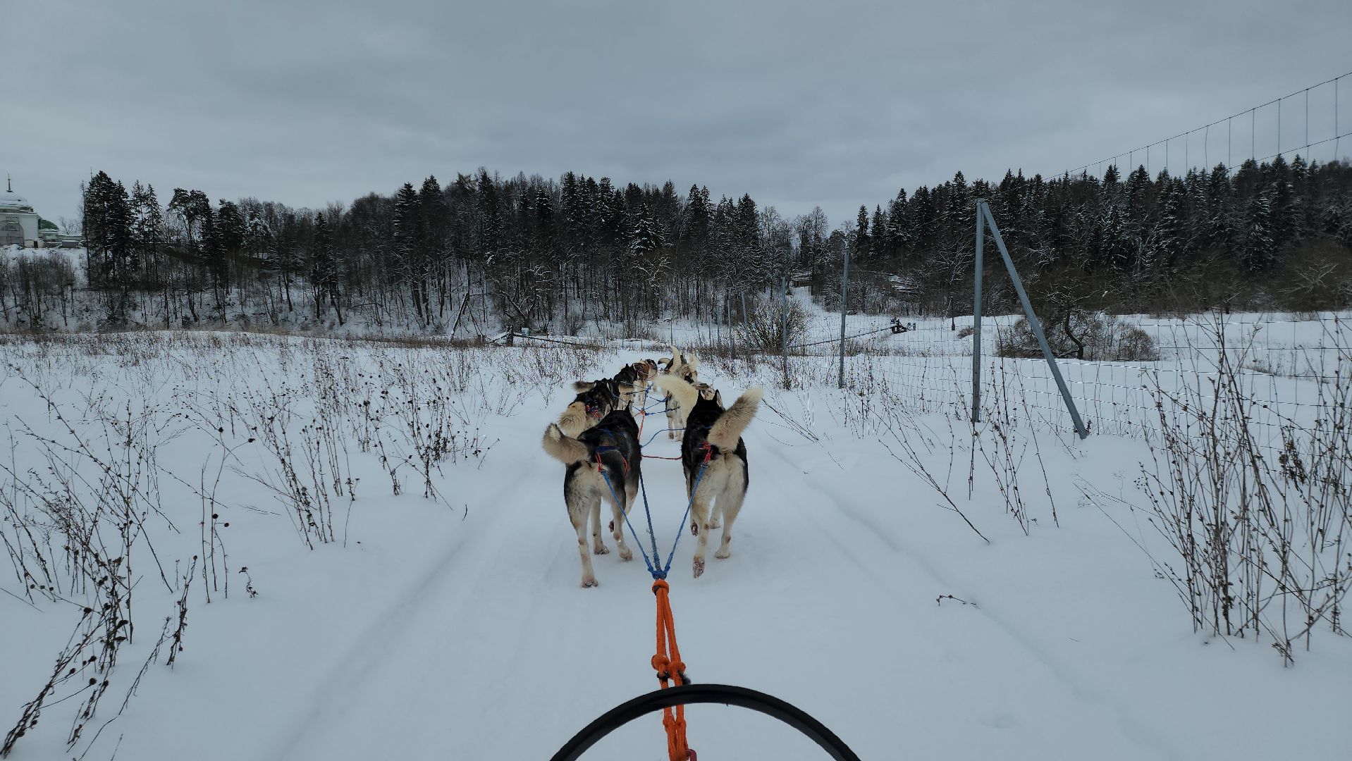 хаски-деревня, рузская аляска, зима в подмосковье, зима в рузе, руза, туризм в рузе, рузский городской округ, вертикалки,