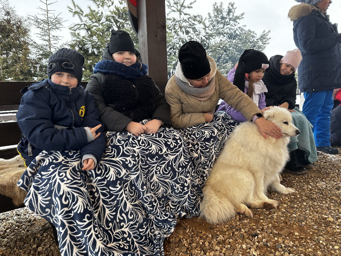хаски-деревня, рузская аляска, зима в подмосковье, зима в рузе, руза, туризм в рузе, рузский городской округ, вертикалки,