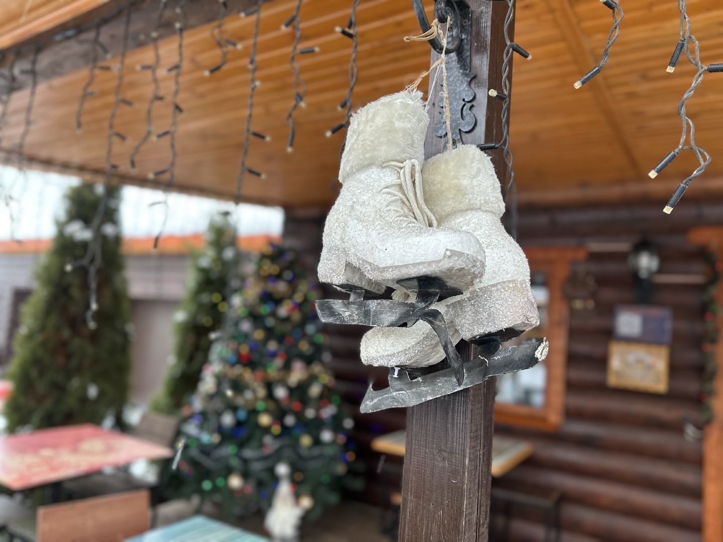 хаски-деревня, рузская аляска, зима в подмосковье, зима в рузе, руза, туризм в рузе, рузский городской округ, вертикалки,