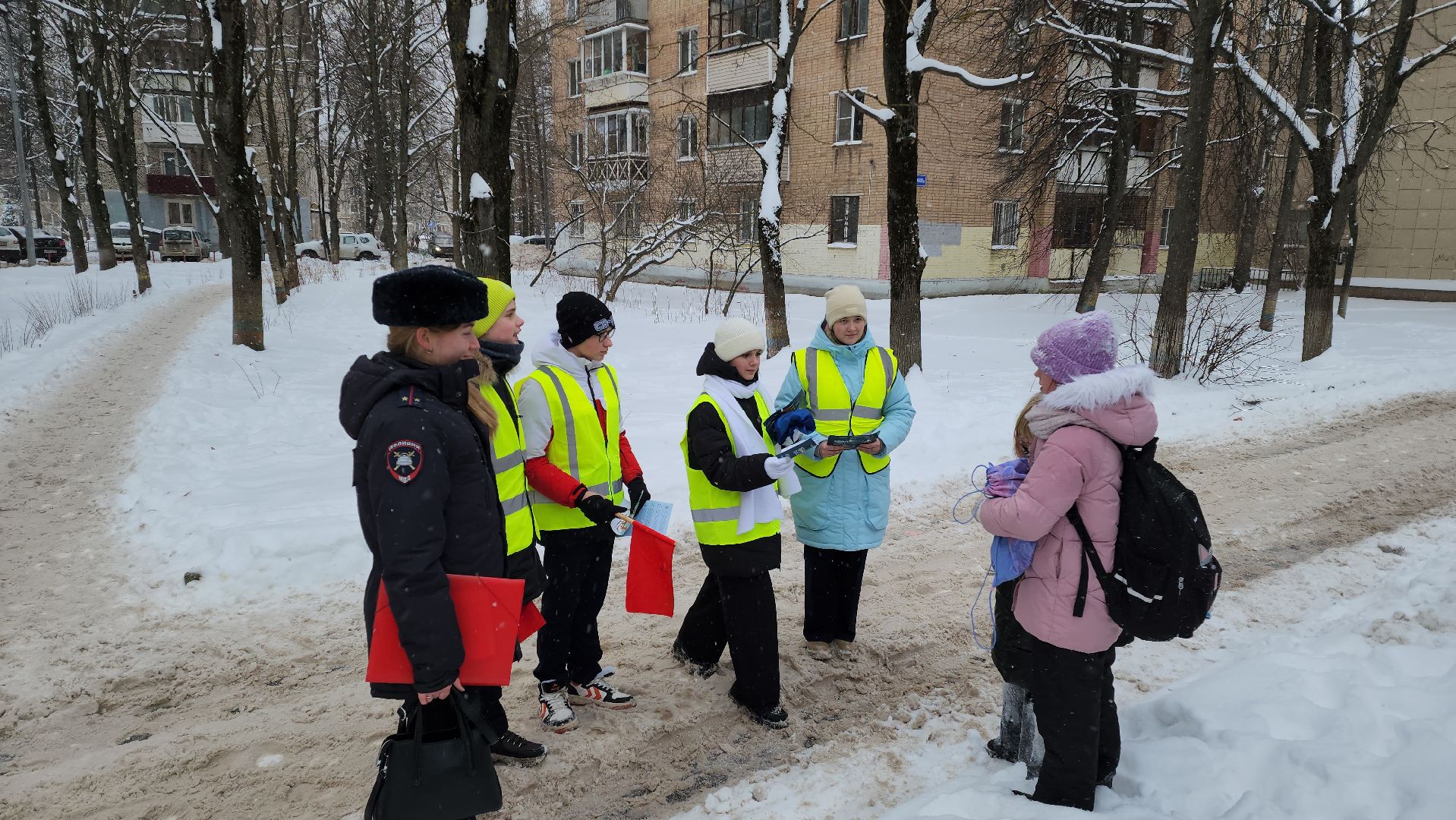 юид отряд, Лобня, Акция пешеходный переход, вертикалки,