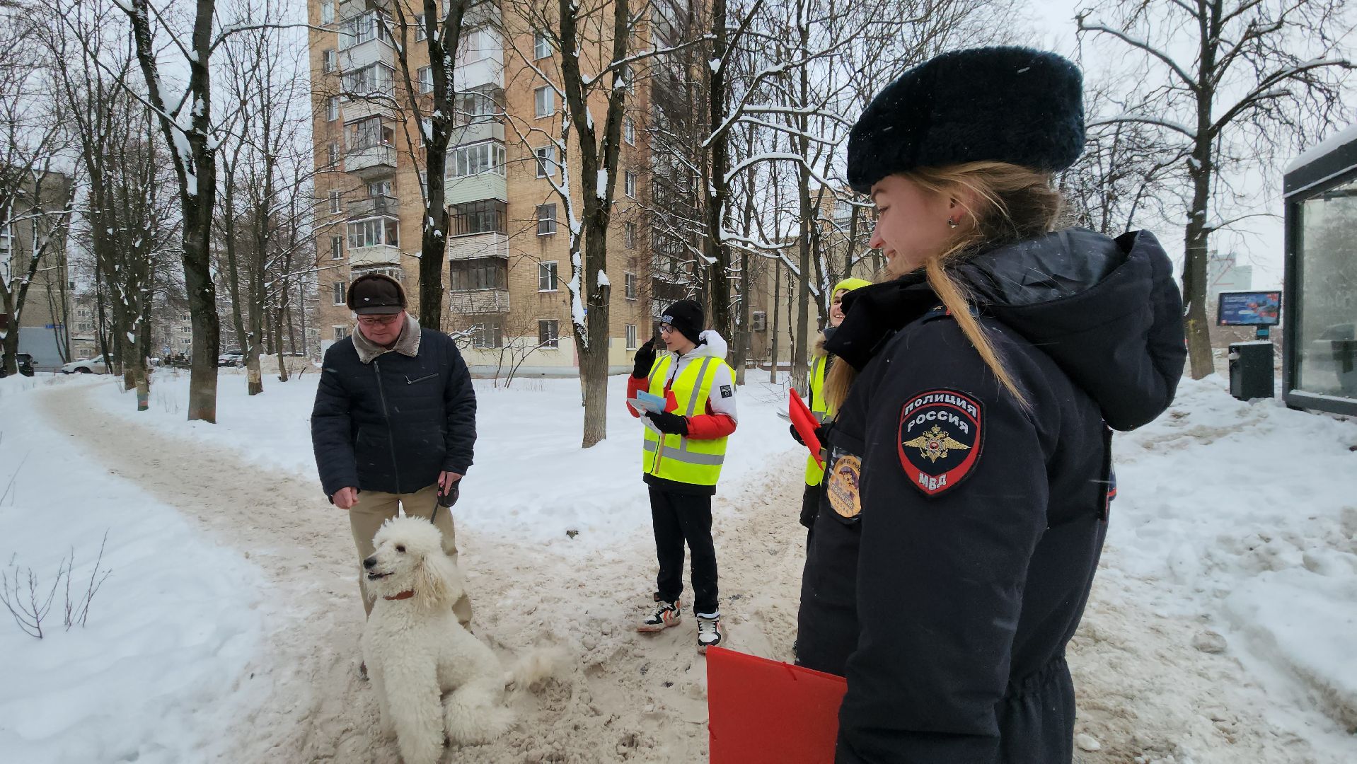 юид отряд, Лобня, Акция пешеходный переход, вертикалки,