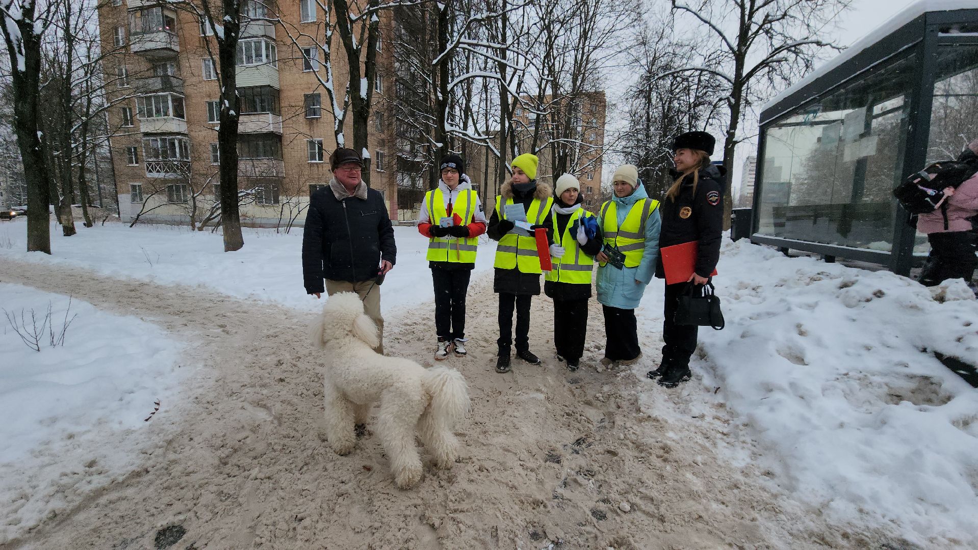 юид отряд, Лобня, Акция пешеходный переход, вертикалки,