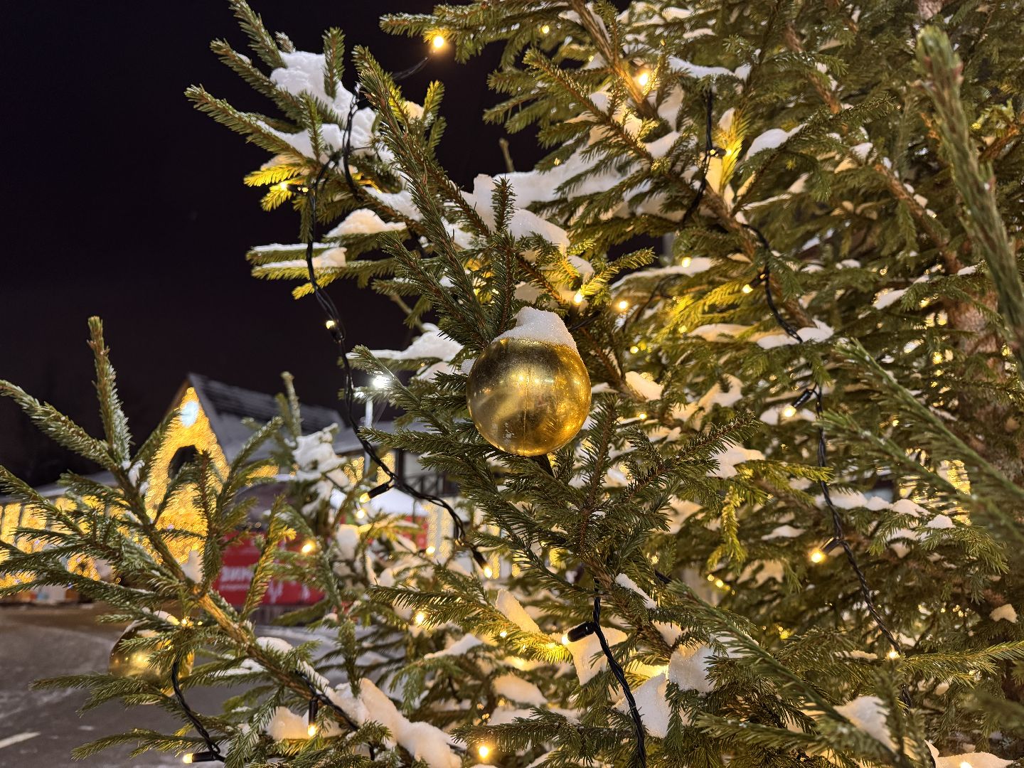 Каток в Одинцово, одинцовский парк культуры спорта и отдыха, зима в подмосковье, Вертикалка,