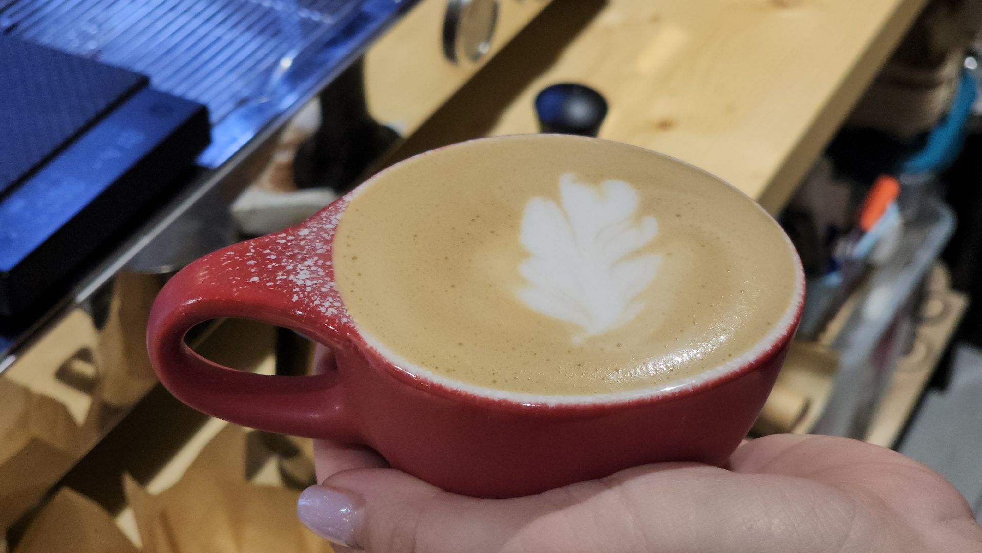 красногорск, кофейня, гусь, новый год,