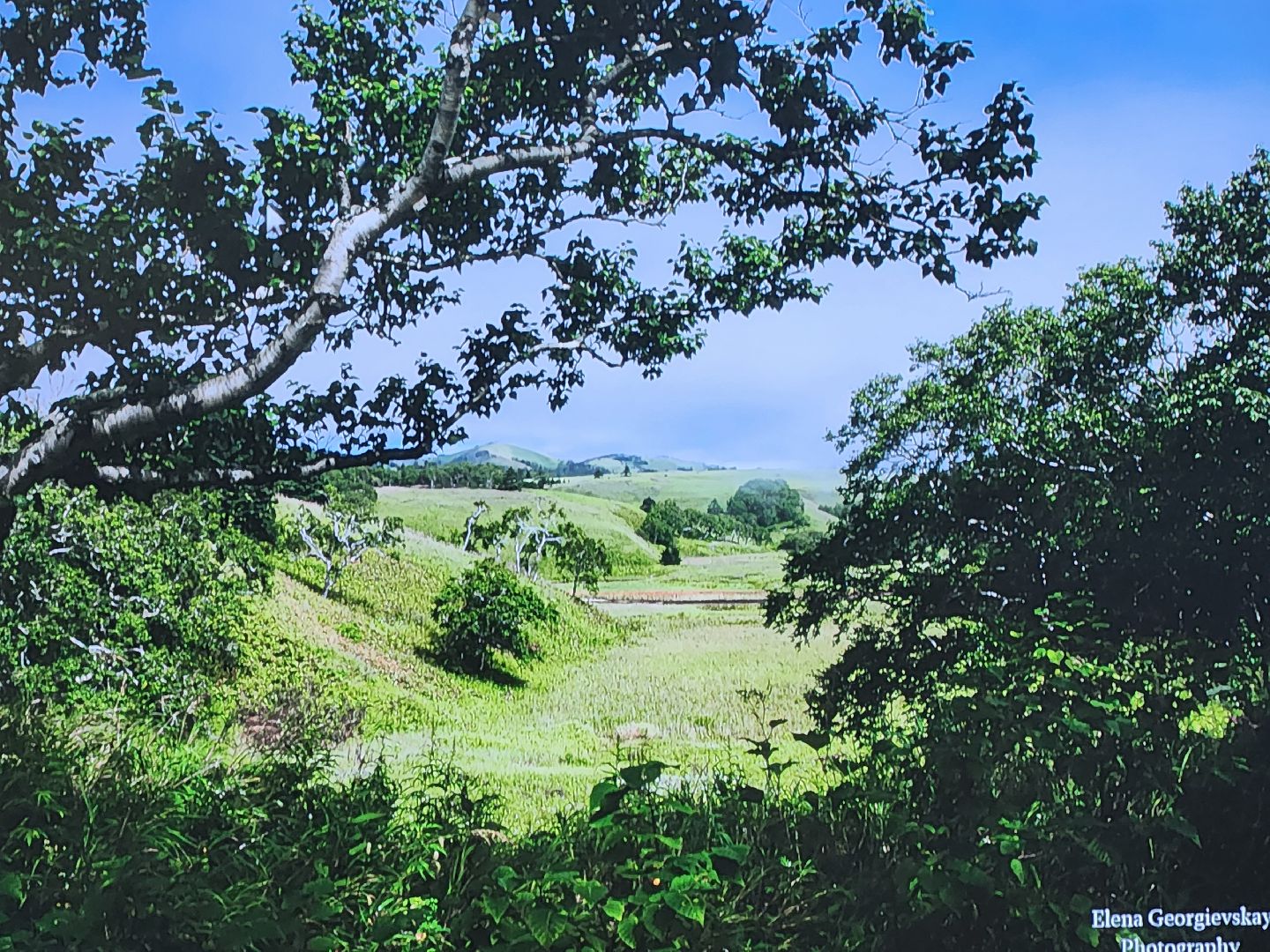 подольск, фотовыставка, фотограф, природа,