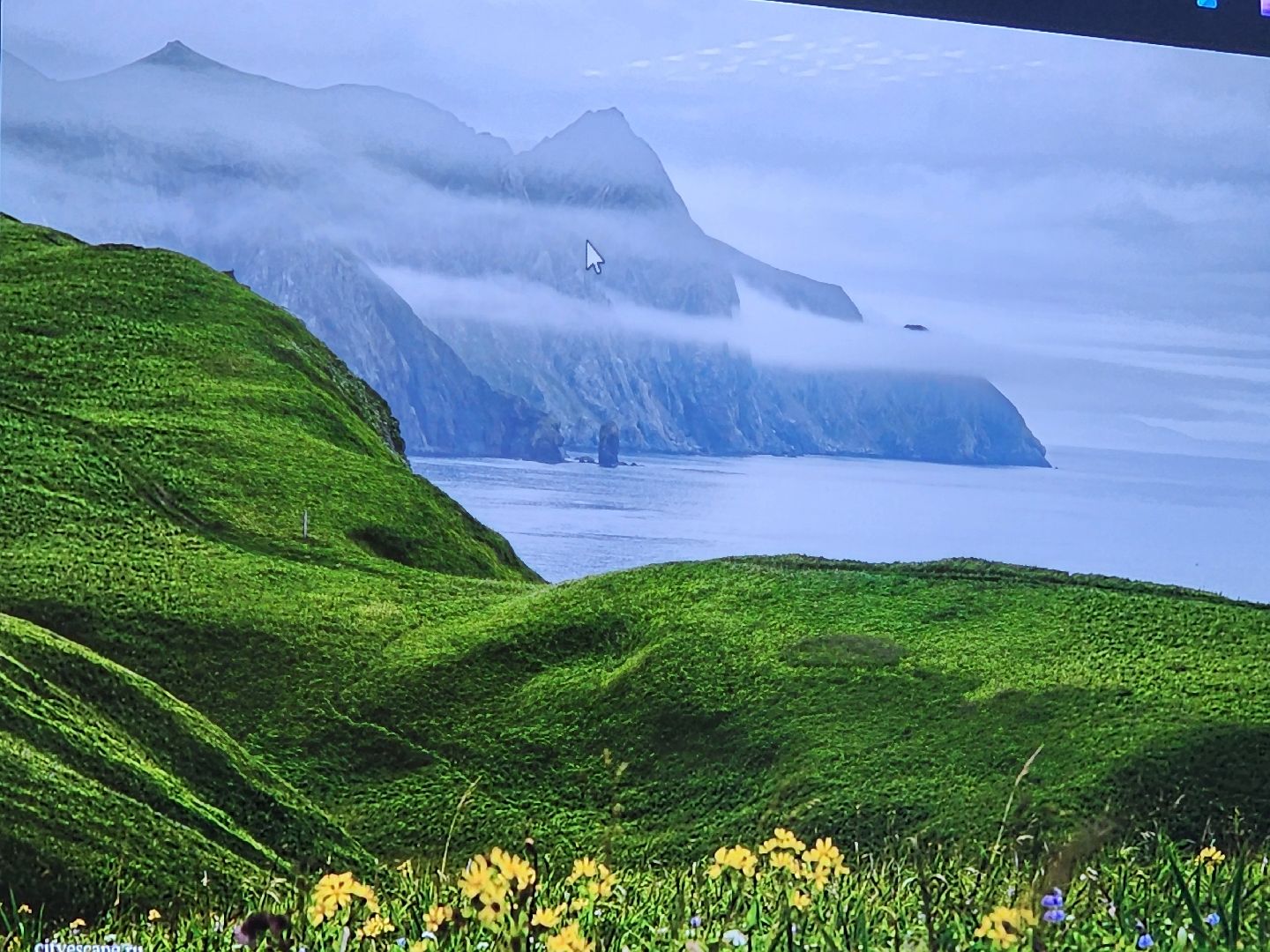 подольск, фотовыставка, фотограф, природа,