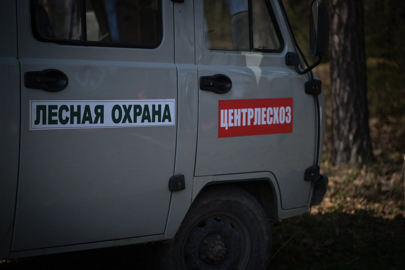 Луховицы Лесничество