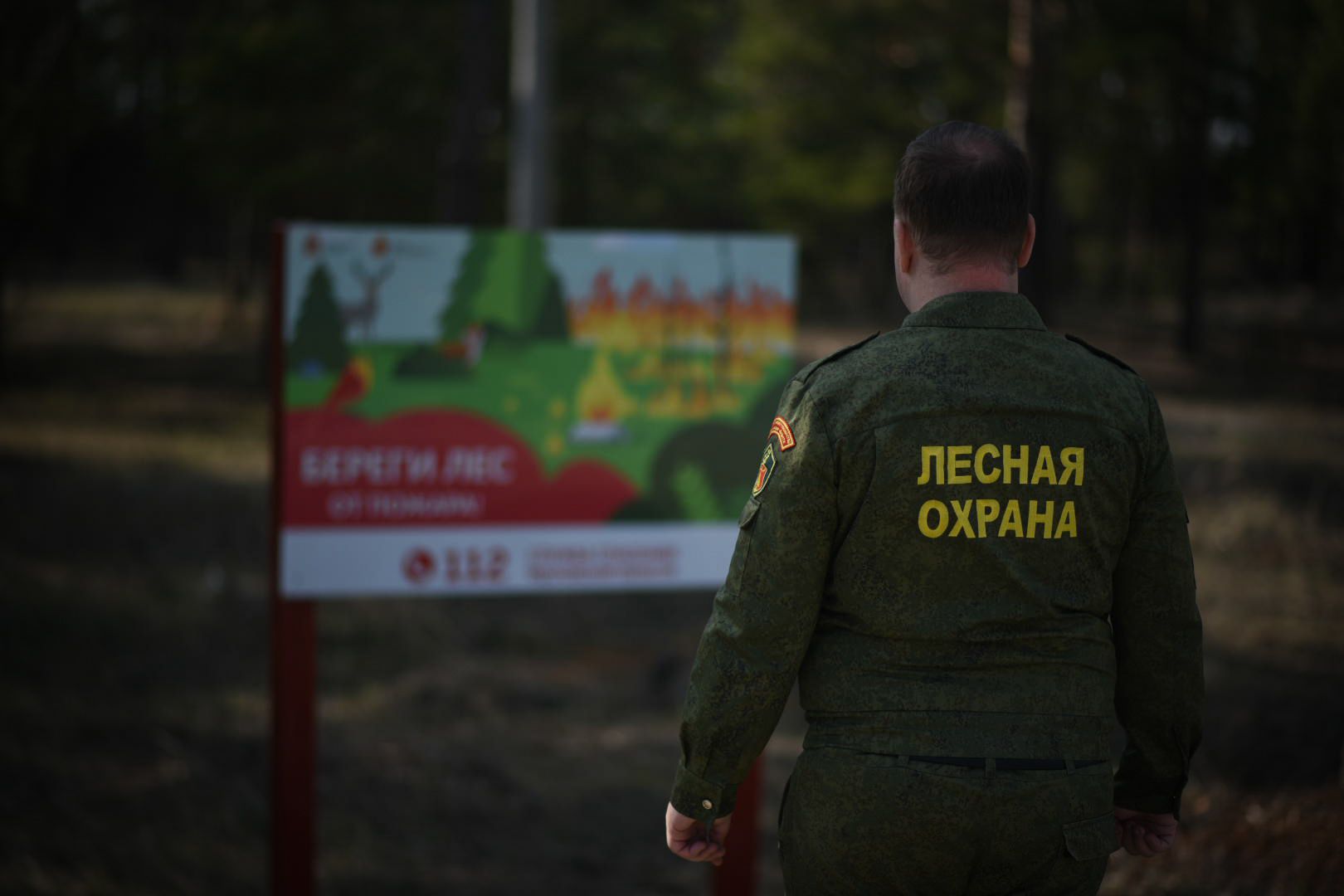 Луховицы Лесничество