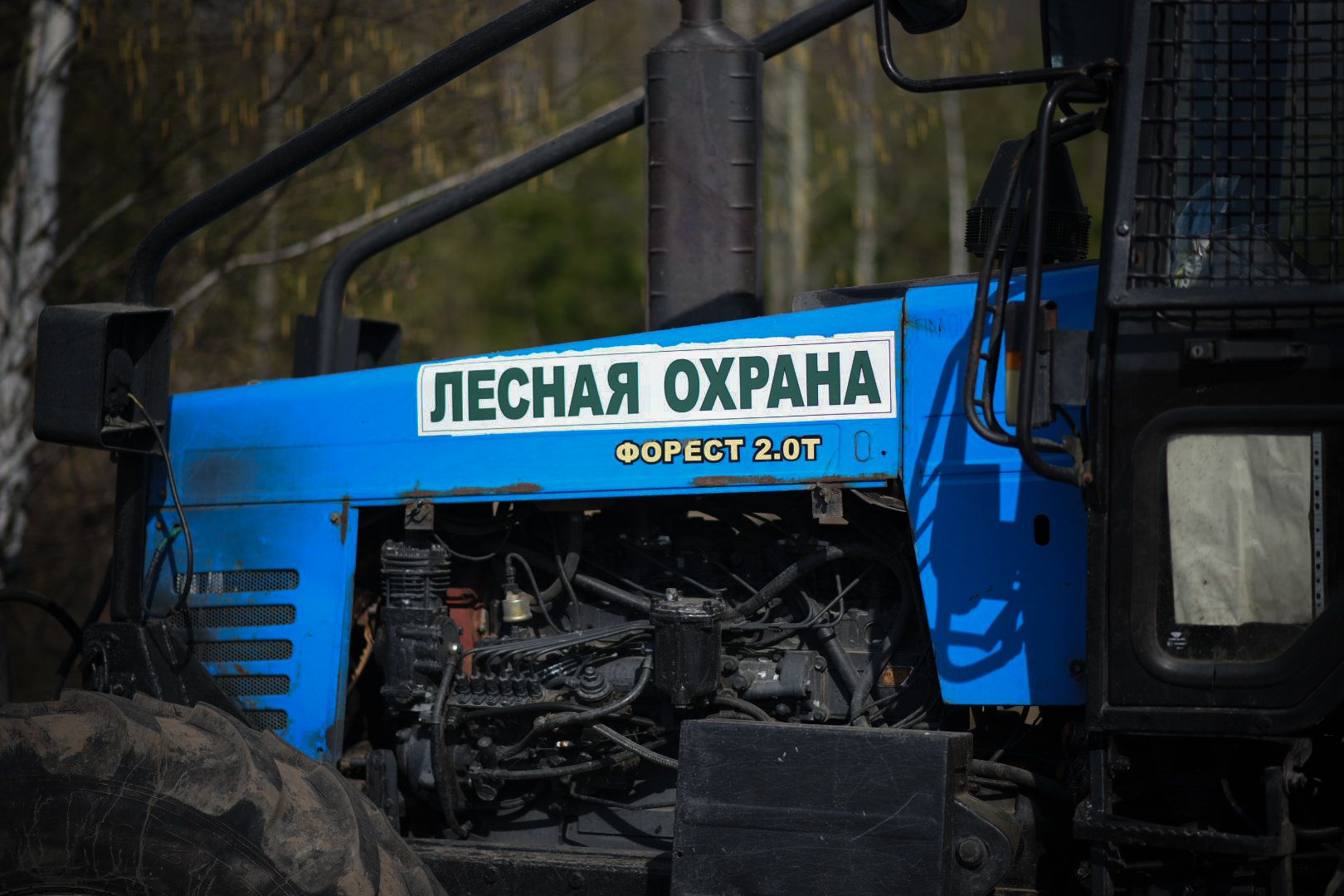 Луховицы Лесничество