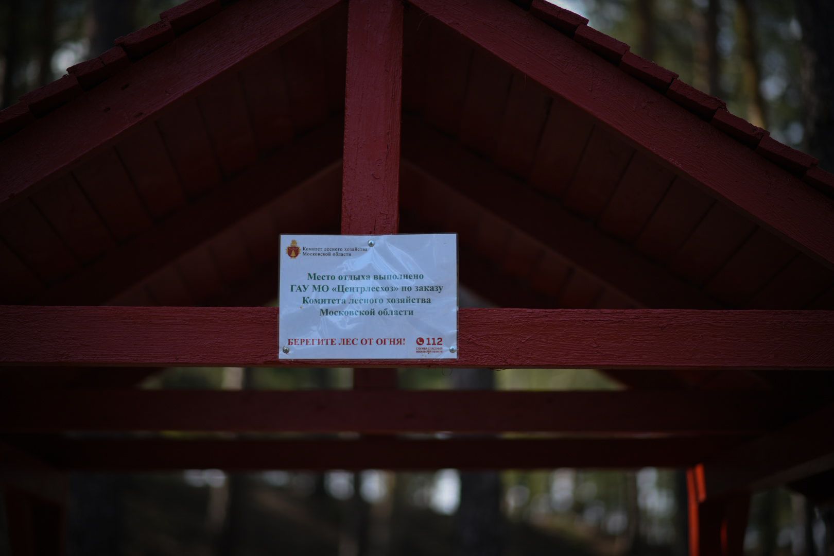 Луховицы Лесничество