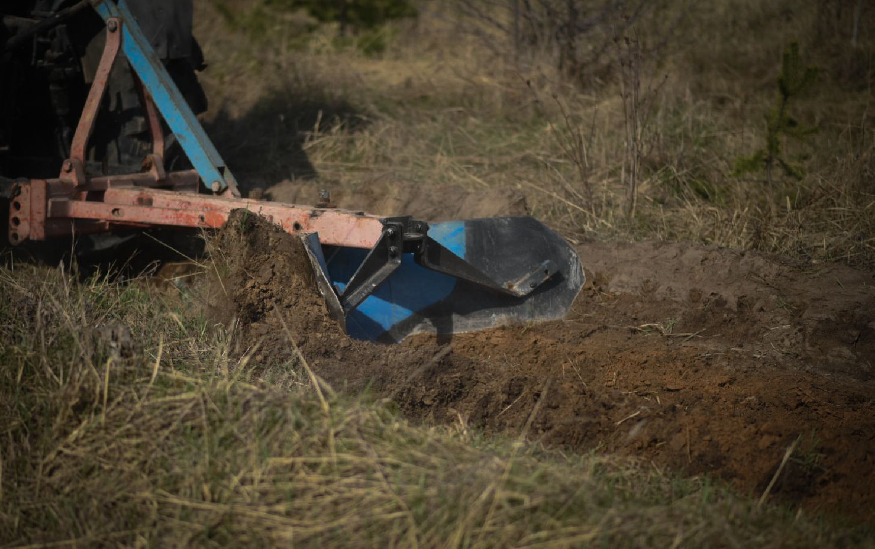 Луховицы Лесничество
