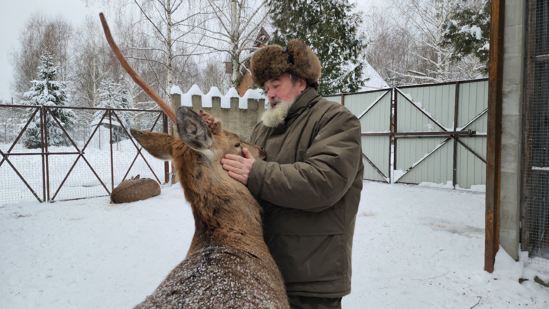 Руза, зима в подмосковье, зима в рузе, оленья ферма, Северные олени, Туризм, туризм в подмосковье, туризм в рузе, вертикалки,