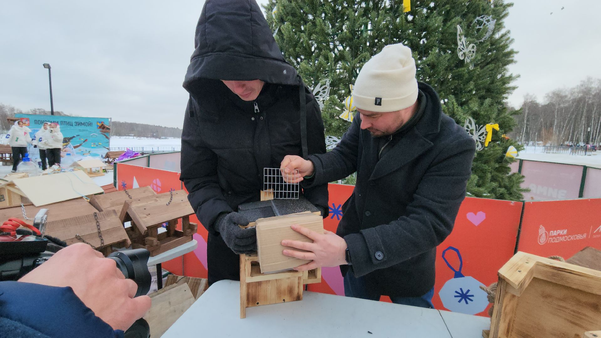 проект беличья тропа, люберцы, малаховское озеро, парки, белки,