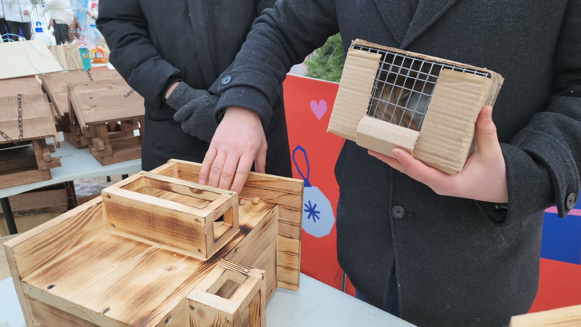 проект беличья тропа, люберцы, малаховское озеро, парки, белки,