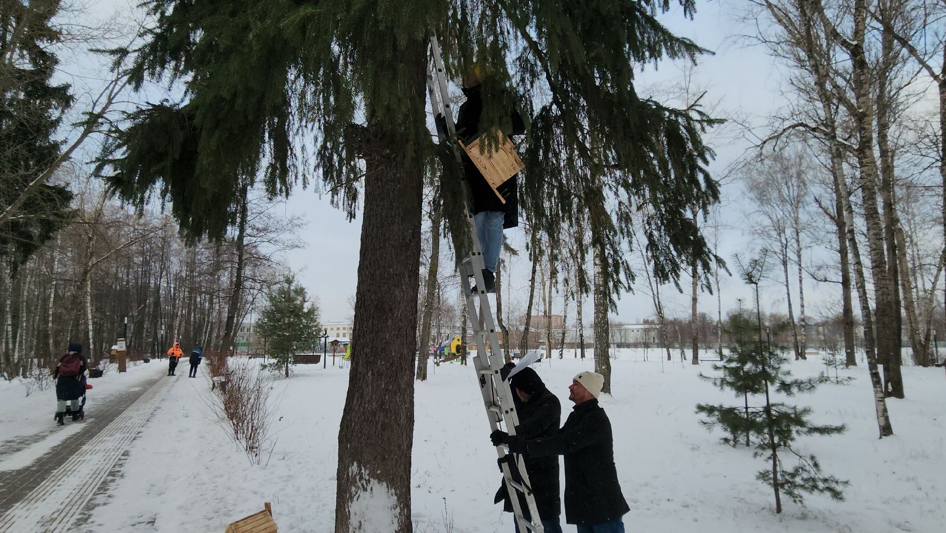 проект беличья тропа, люберцы, малаховское озеро, парки, белки,
